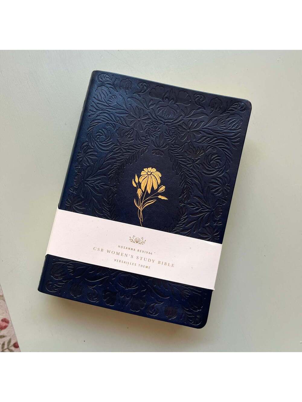 NWT CSB Study Bible